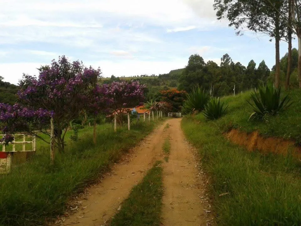 Imagem Vendo excelente sítio em Desterro de Entre Rios/MG, com 30.000 m² de área