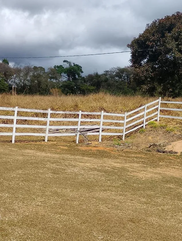 Imagem Vendo um excelente sítio em Piedade dos Gerais/MG, com 5,6 hectares (56.000 m²)