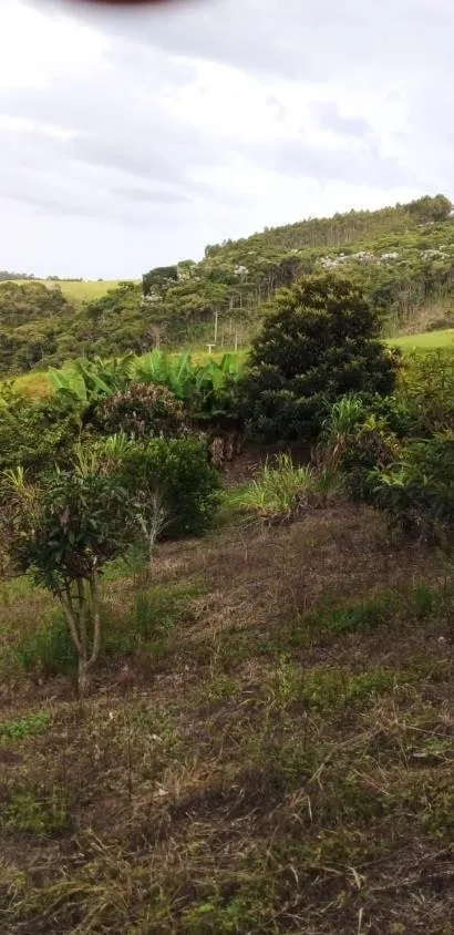 Imagem Sítio à venda em Joanópolis/SP | 7,5 alqueires | Nascentes | Duas casas | Excelente potencial para investimento