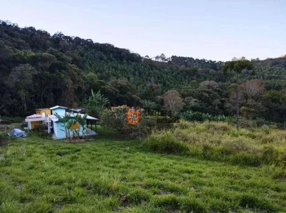 Imagem Sítio com 2 dormitórios à venda, 20000 m² por R$ 1.050.000,00 - Vargem - Vargem/SP