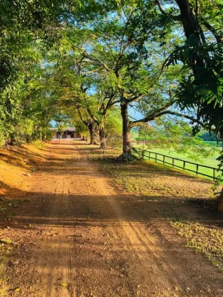 Imagem Haras para venda