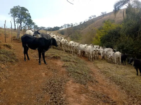 Imagem Terreno à Venda, 106.480 m² em Vila Cristo Redentor - Várzea Paulista