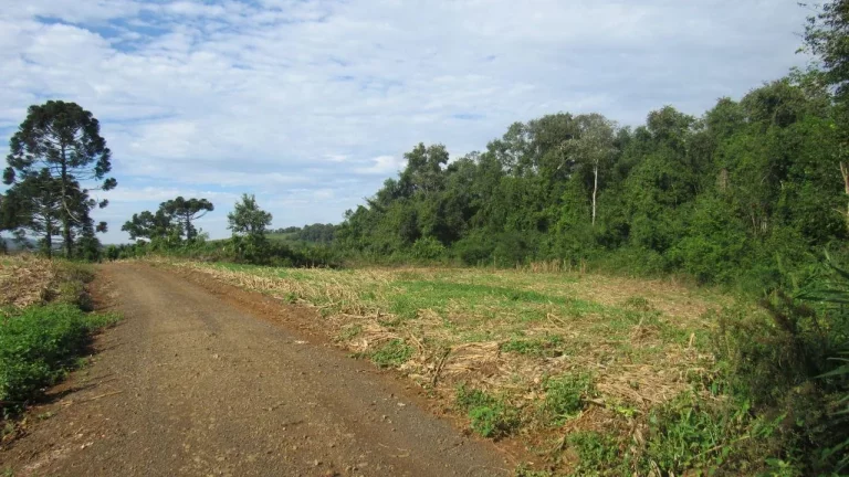 Imagem Área Agrícola para Venda em Concórdia, Barra do Pinhal
