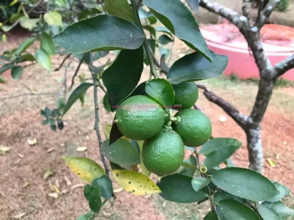Imagem Terreno a venda no residencial condomínio Vitassay