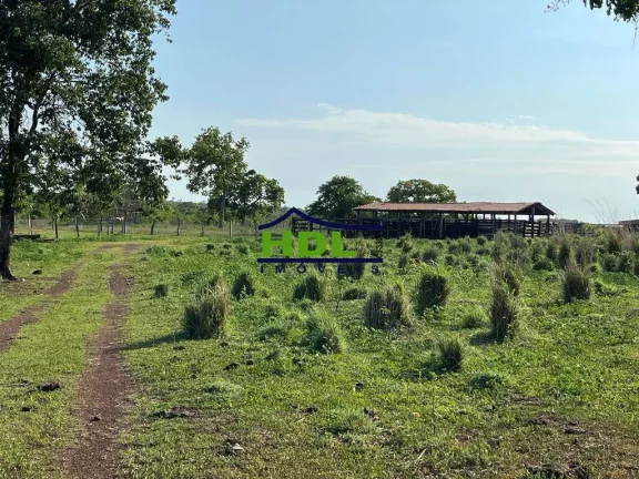 Imagem Fazenda 230 Alqs em Natividade do Tocantins