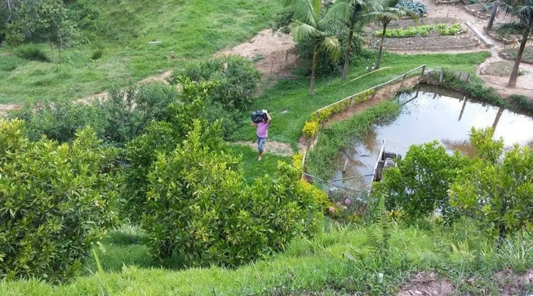 Imagem Chácara à venda 4 Quartos, 4 Suites, 1452000M², Zona Rural, Salesópolis - SP
