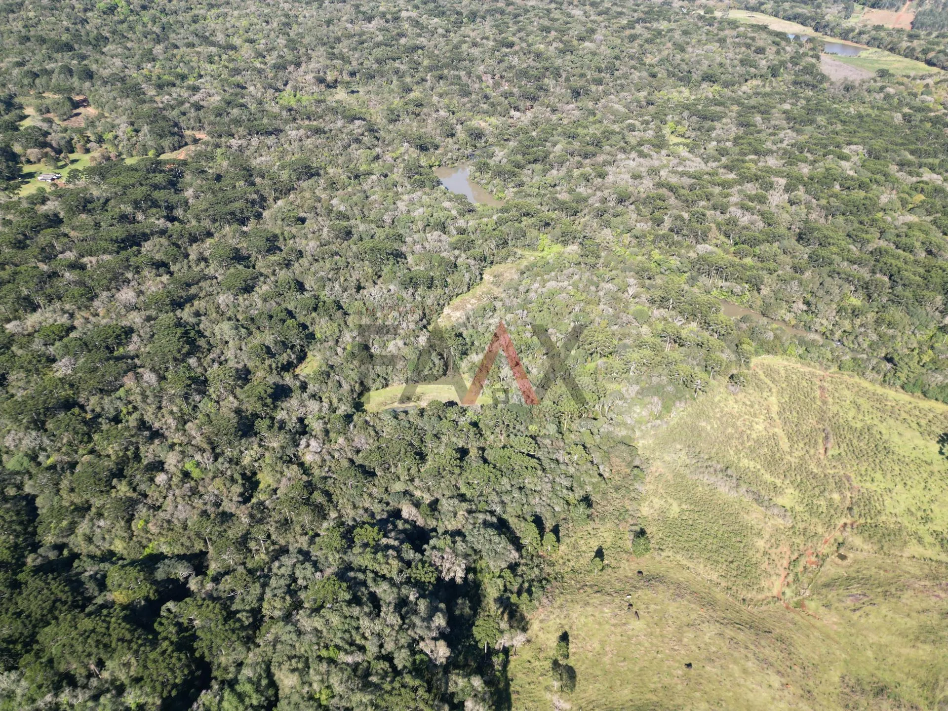 Imagem Área rural à venda proximo ao hopy valley com rio em Guarapuava - PR