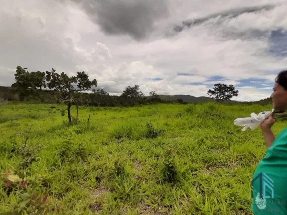 Imagem Fazenda linda 39 alqueires, com casa peão e casa sede, Município de Mossamedes GO