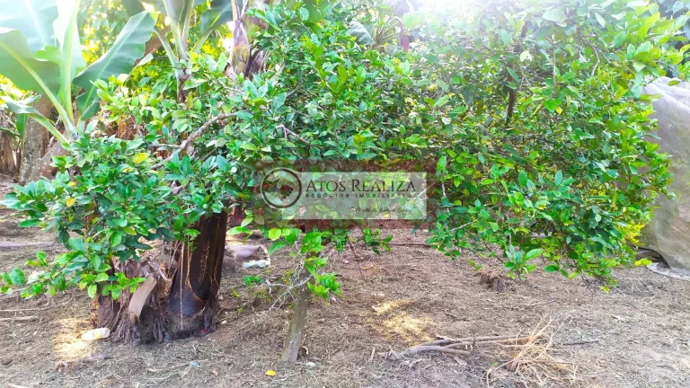Imagem Compre Rancho/ Chácara em Jardim Santa Tereza - São Paulo