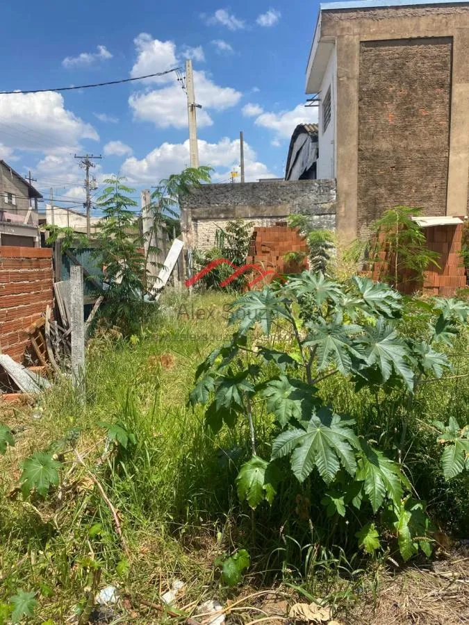 Imagem Terreno para Venda em Sumaré, Jardim São Francisco (Nova Veneza)