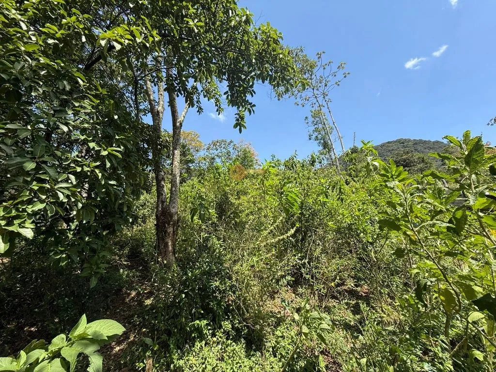 Imagem Terreno para Venda em Teresópolis / RJ no bairro Granja Guarani