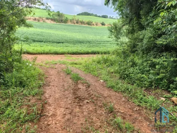 Imagem Terreno com 9,2 Alqueires, área verde ideal para plantio ou construção, em Campo Largo PR