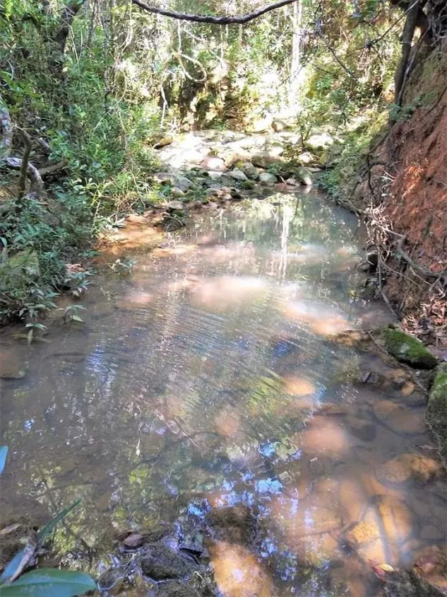 Imagem FAZENDA DE ALTO PADRÃO À VENDA - SUL DE MINAS 1.488 hectares de área total