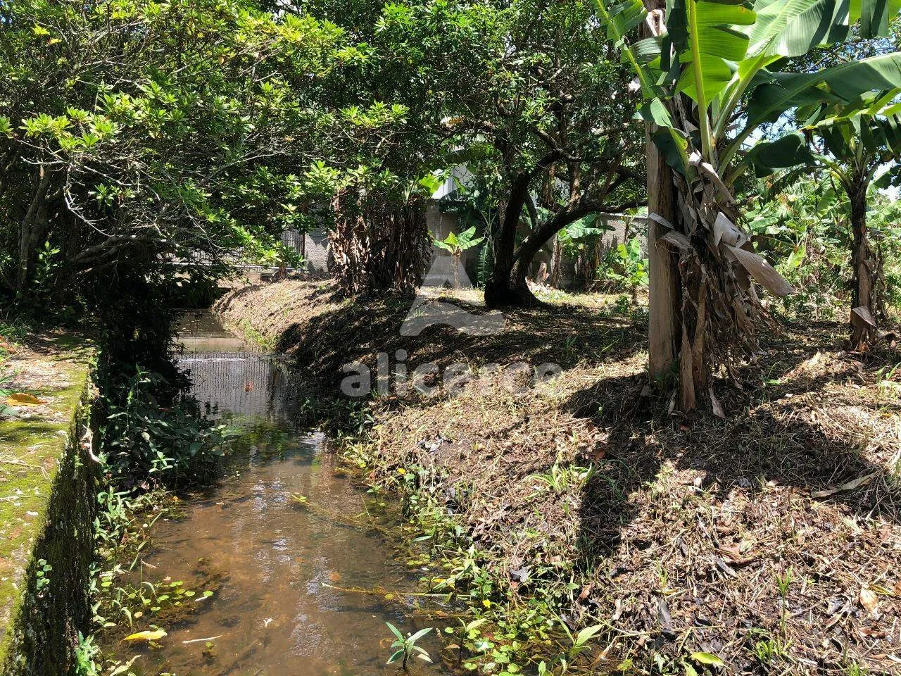 Imagem Casa à venda com 7 quartos 2 suítes, 492m² em Armação do Pântano do Sul Florianópolis