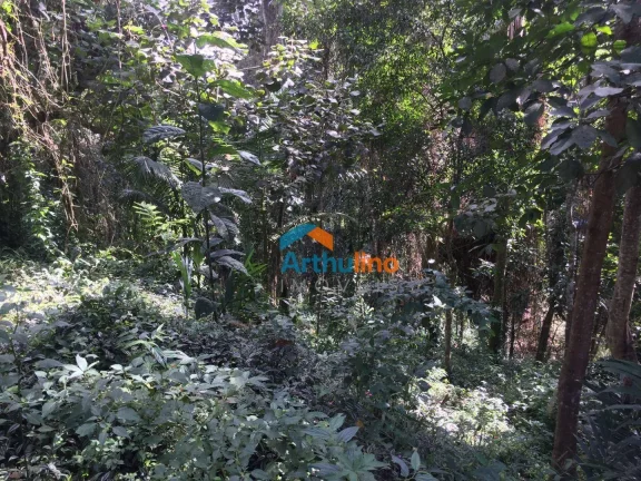 Imagem Terreno à venda, 2765 m² por R$ 450.000,00 - Chácara Represinha - Cotia/SP