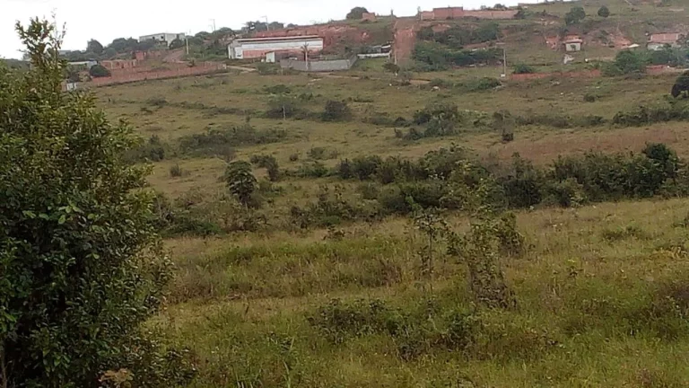 Imagem ÁREA EM CAMAÇARI
