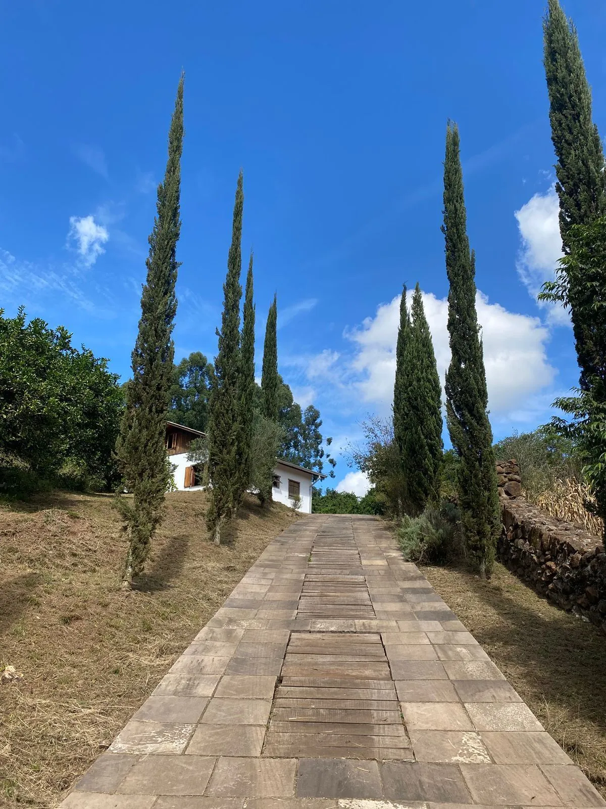 Imagem Área Rural em Capela do Rosário