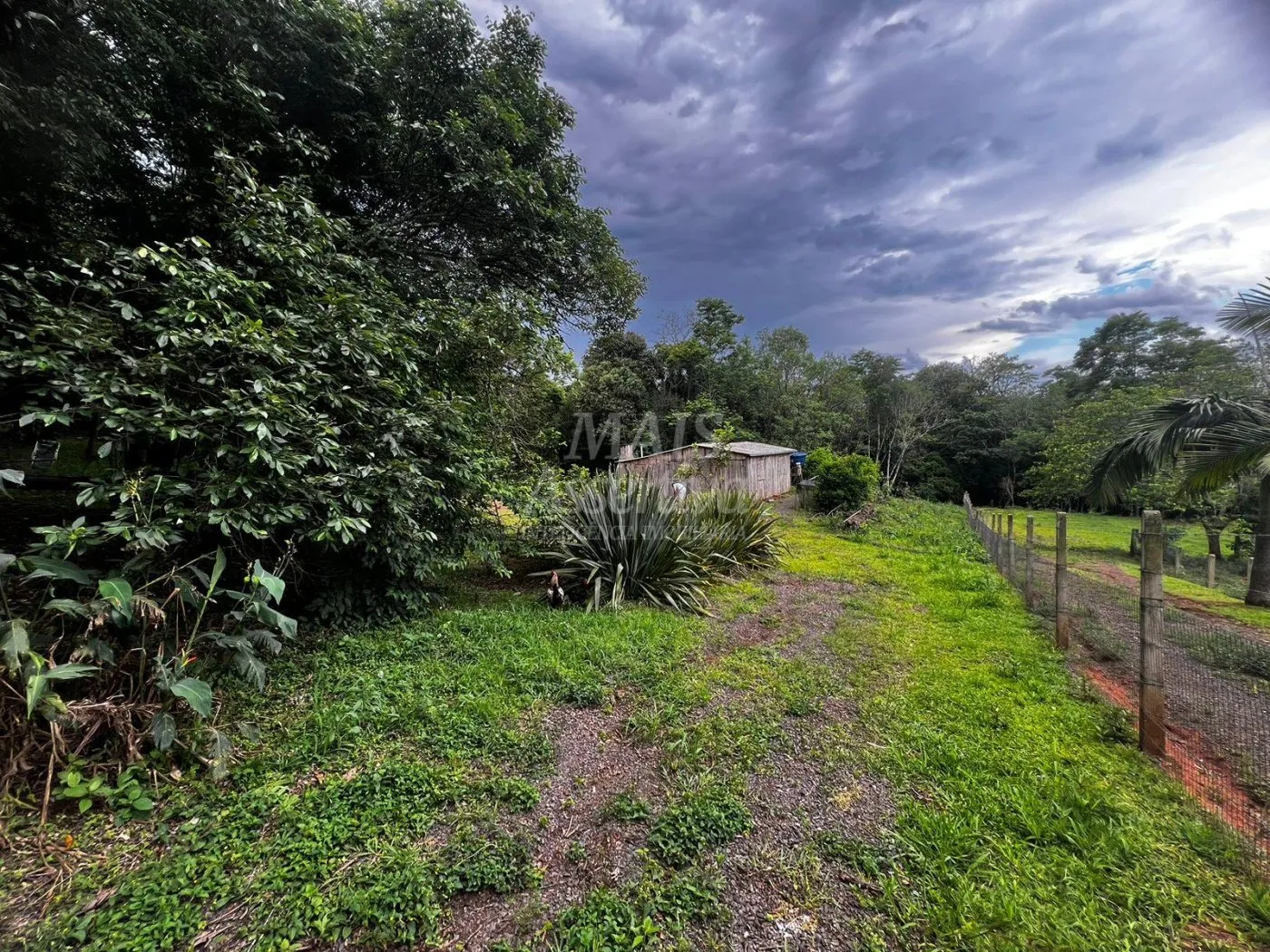 Imagem Chacara para venda em Campo Bom, Quatro Colônias Norte de 5.000m²