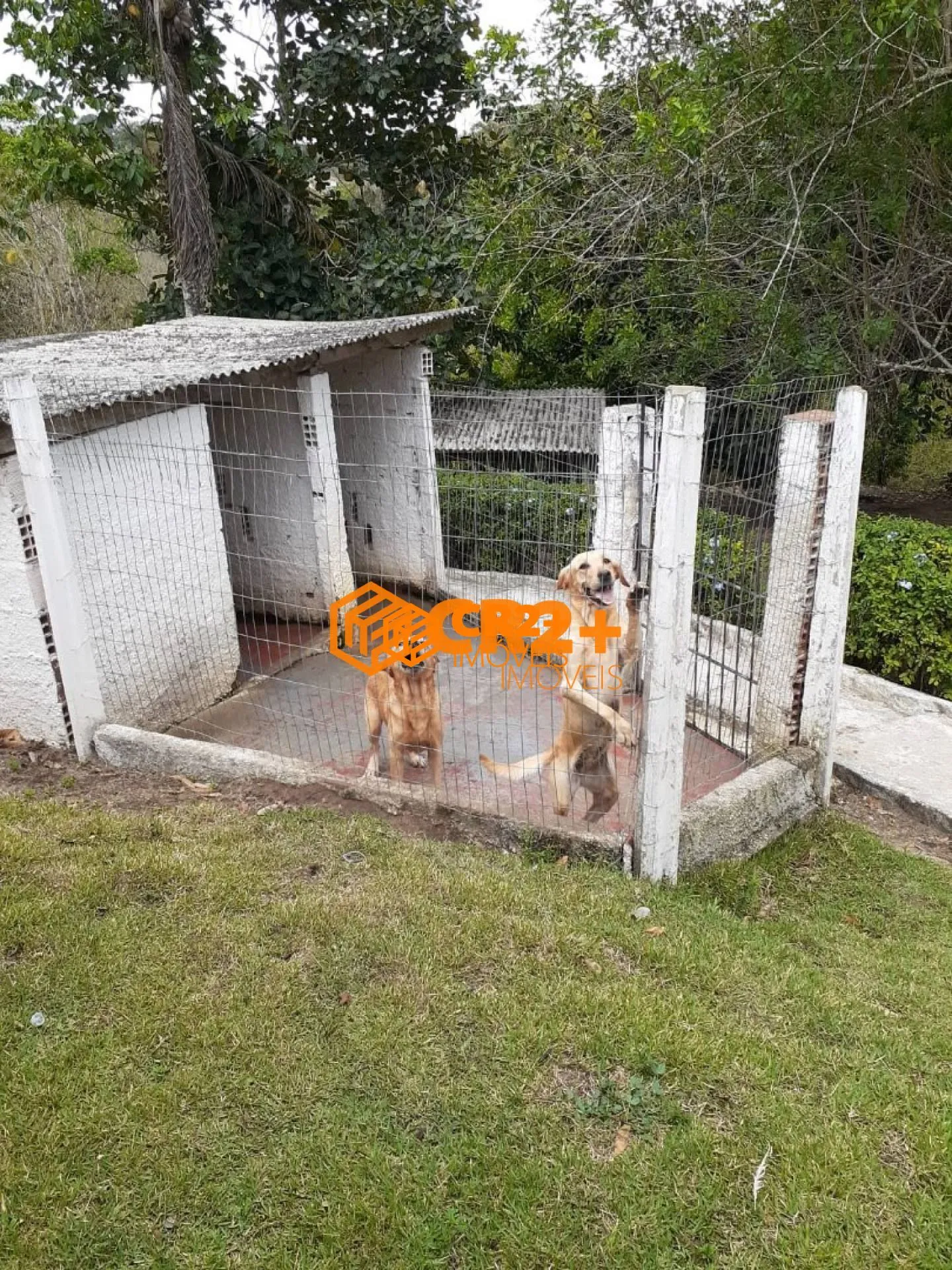 Imagem Chácara a Venda com 04 quartos 02 suítes na zona rural em Chã Grande 4 hec