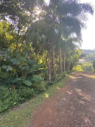 Imagem Área para Venda em Cordilheira Alta, Interior, 3 dormitórios, 1 banheiro, 2 vagas
