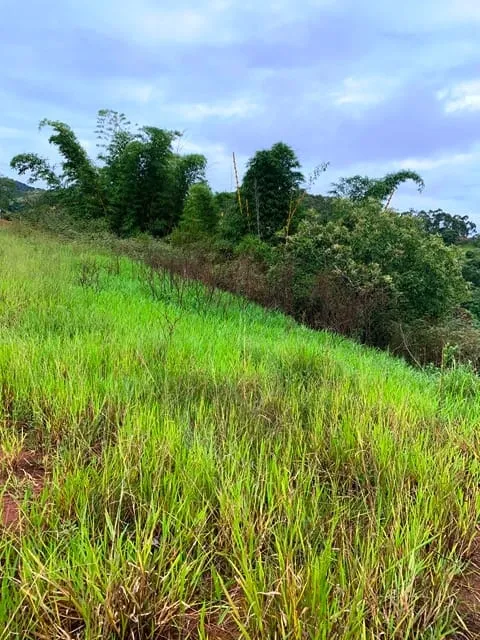 Imagem Chácara à venda 1666.67M², Goiabal, Pindamonhangaba - SP