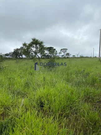 Imagem MUITO BARATO!! CHÁCARA COM 20.300M² A APENAS 3KM DA CACHOEIRA DO INDAIÁ FORMOSA GOIÁS