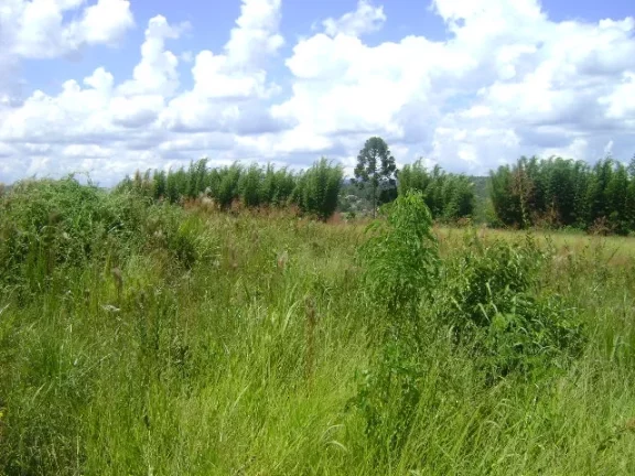 Imagem Área Industrial e Comercial Mairiporã