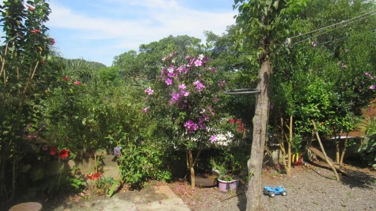 Imagem Casa para Venda em Concórdia, Colibri, 3 dormitórios, 2 banheiros, 2 vagas