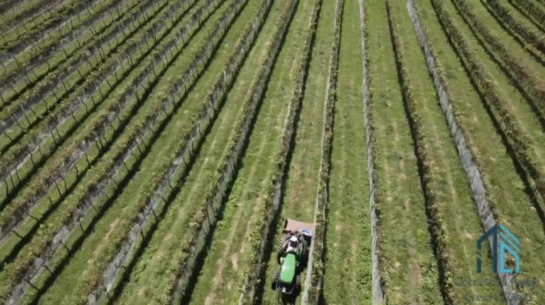 Imagem - Fazenda, Vinícola, Sítio, A VENDA, próximo ao centro de São Joaquim SC
