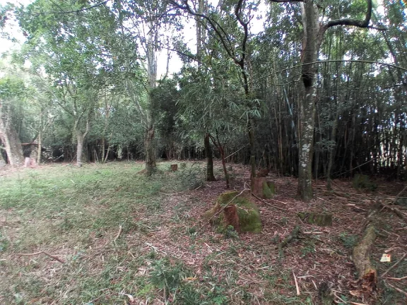 Imagem Lindos Terrenos residenciais, Águas Claras / Viamão