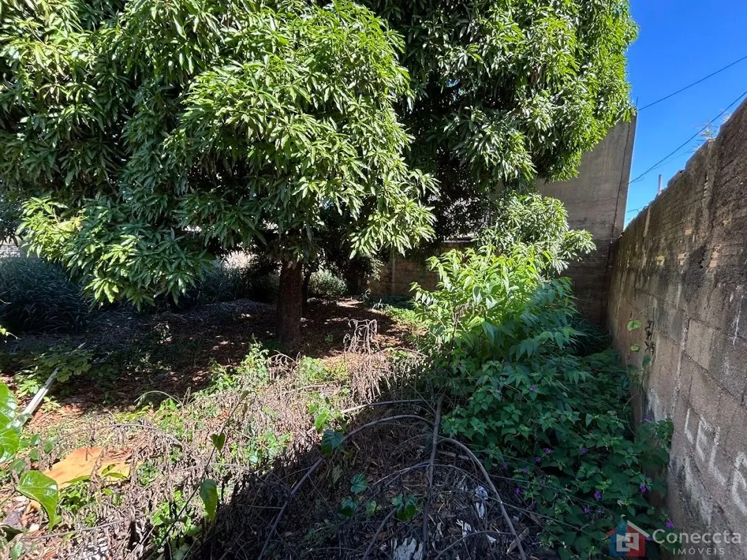 Imagem Terreno Residencial à venda, São Francisco, Patos de Minas - TE0066.