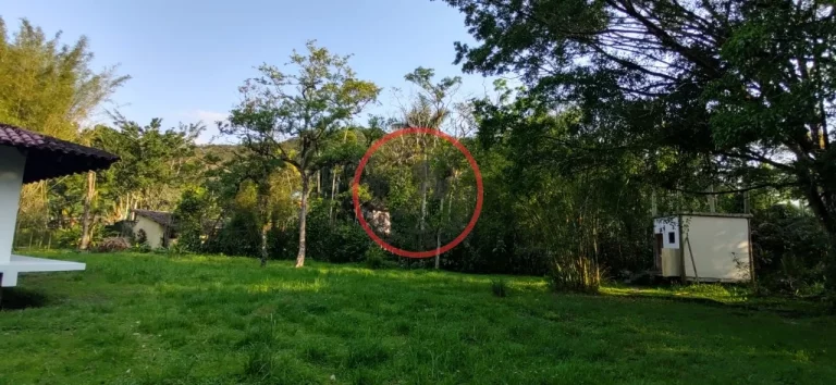 Imagem CASA AMPLA AREJADA E BEM ILUMINADA ,INSERIDA NA MATA ATLANTICA COM 2 PAVIMENTOS TERRENO DE 2000MT A 10 MINUTOS DE CAMBURY/BALEIA