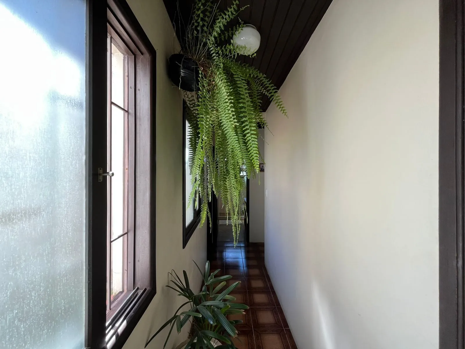 Imagem casa a venda no bairro tristeza