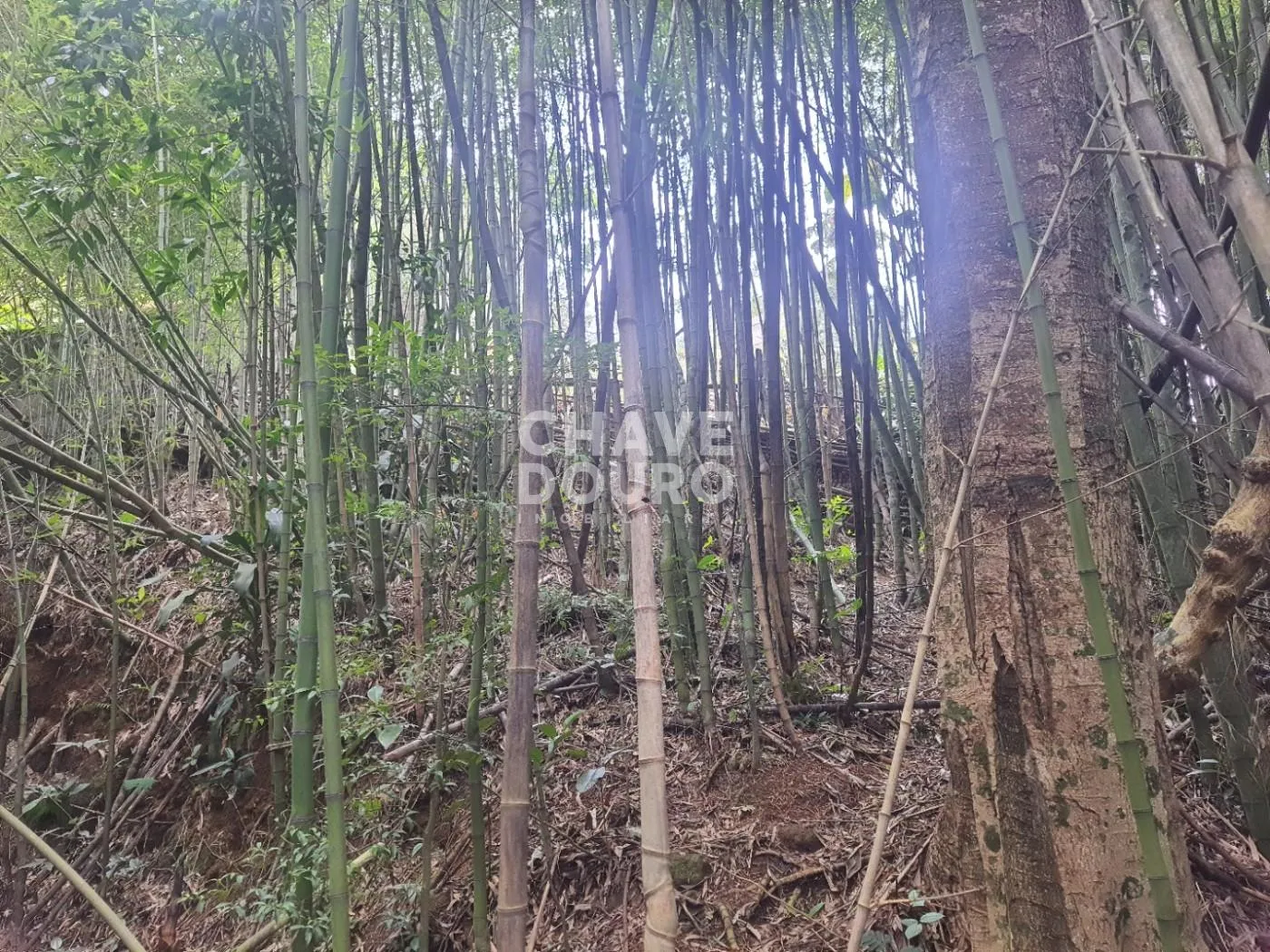 Imagem Terreno de 450m em localização central em bairro residencial