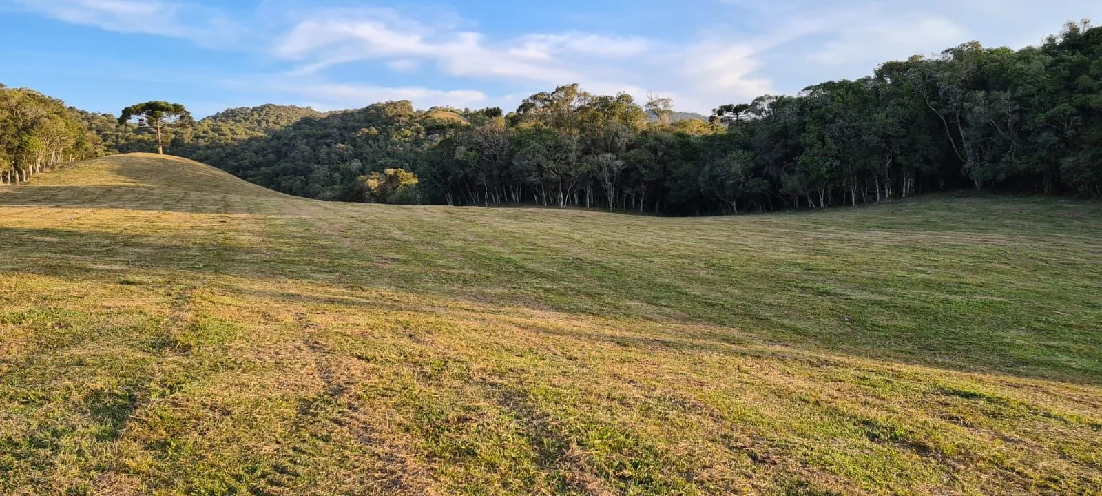 Imagem Oportunidade Única! Terreno com 4 Lagos e Escritura Pública em Rancho Queimado - 27,6 ha