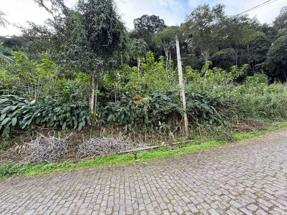 Imagem Terreno para Venda em Teresópolis / RJ no bairro Albuquerque