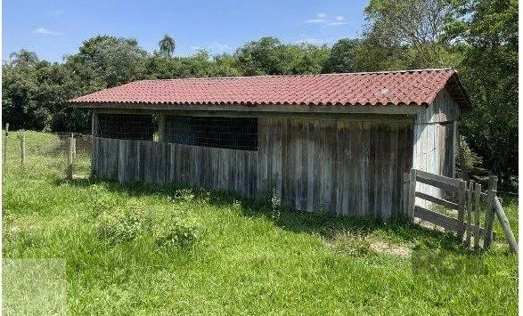 Imagem Área 20.000m2 - Bairro Belém Velho