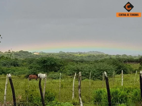 Imagem FAZENDA EM NOVA SOURE