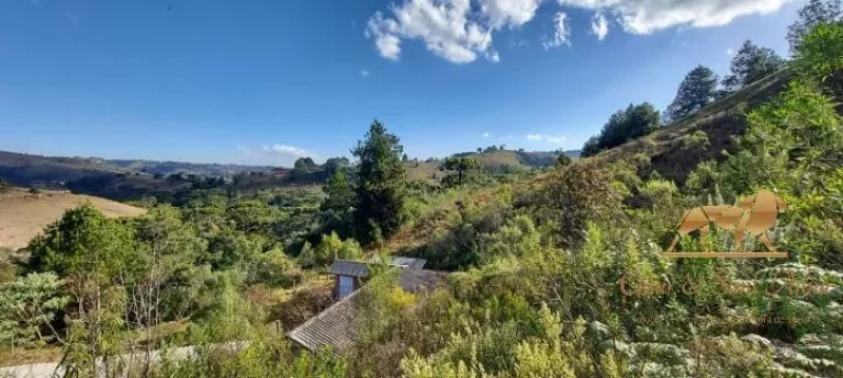 Imagem Lote com vista permanente