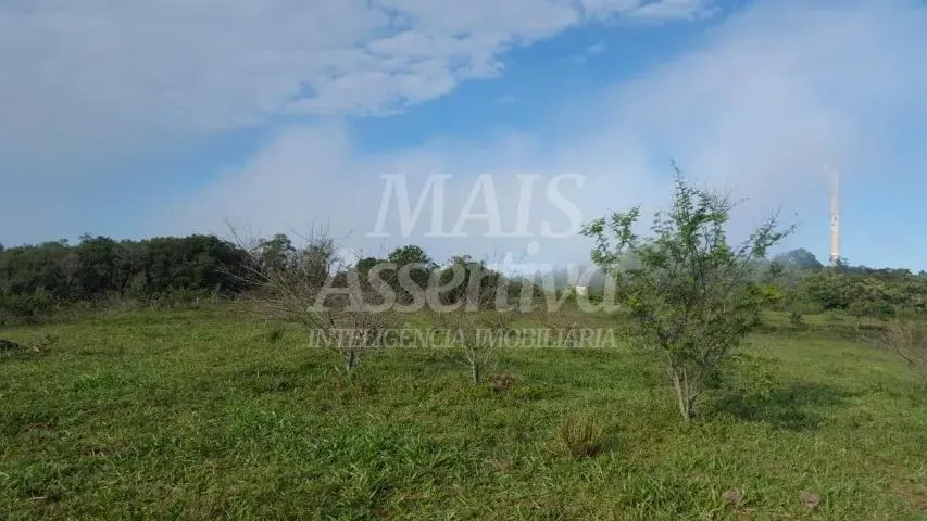 Imagem Excelente sítio para venda localizado no bairro Morungava em Gravataí/RS