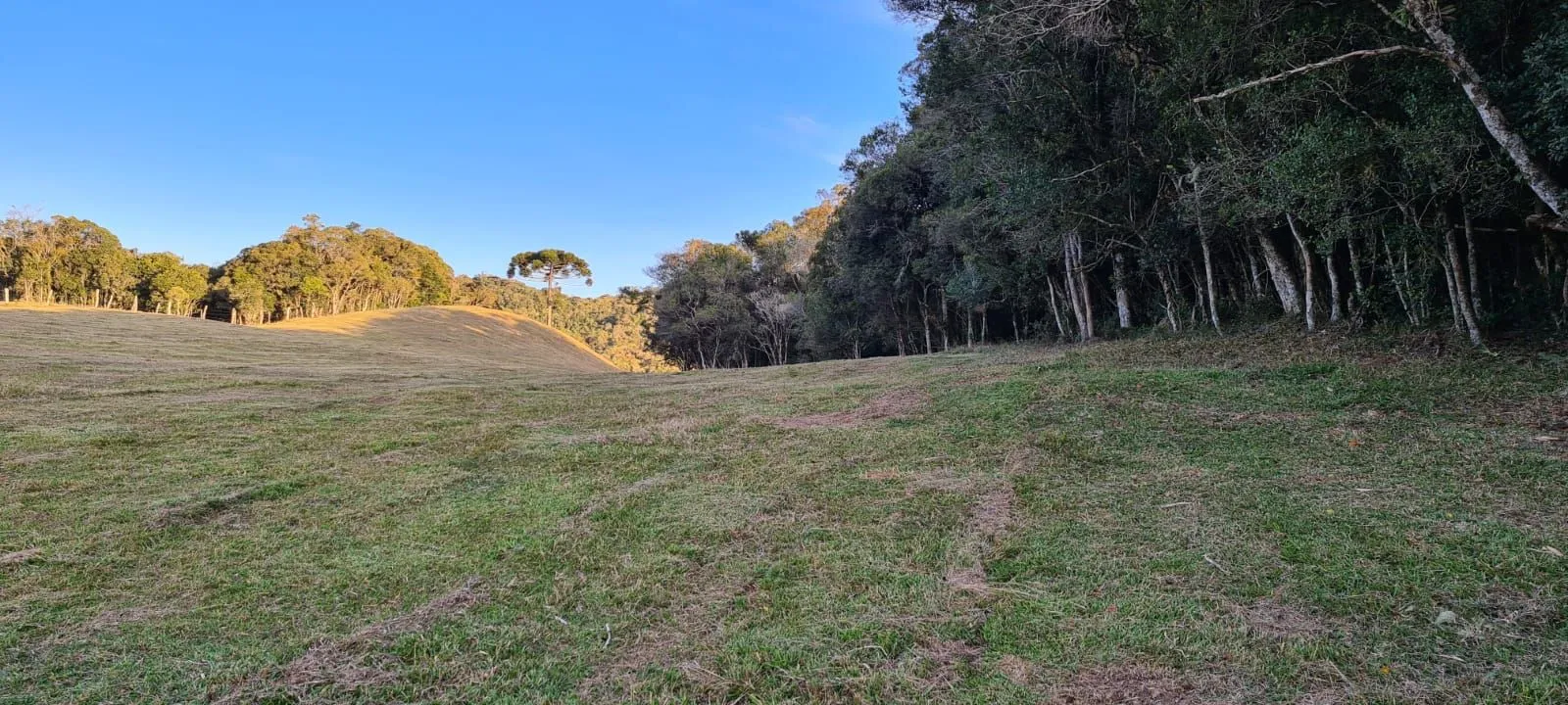 Imagem Oportunidade Única! Terreno com 4 Lagos e Escritura Pública em Rancho Queimado - 27,6 ha