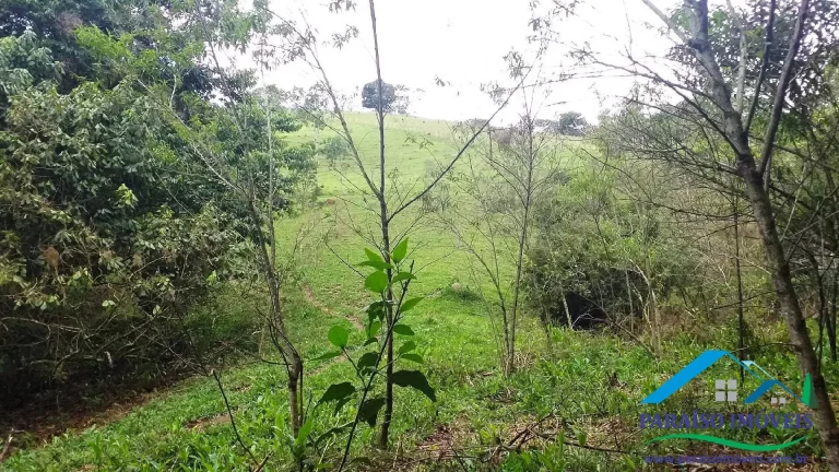 Imagem Paraíso Ecológico: Terreno com Nascente Própria e Vista Panorâmica.