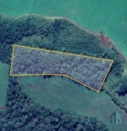 Imagem Sitio a venda, 375,100 mil m² (15.5 alqueires), aproximado 7 alqueires de plantio restante reserva e pasto, em Condói PR