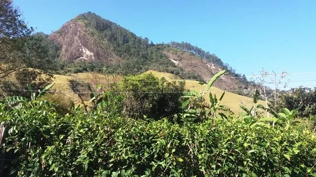 Imagem Chácara à venda Zona Rural, Cruzeiro - SP