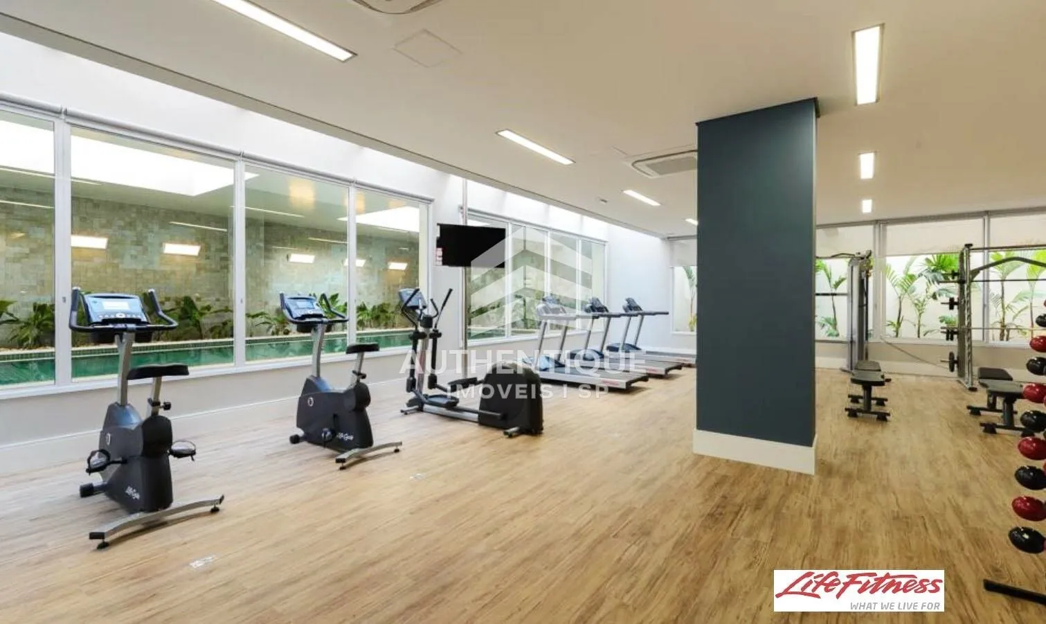 Imagem Gaivota 1081 Moema - Apartamento à venda em São Paulo/SP