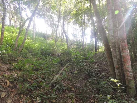 Imagem Terreno Espaçoso em Macacu, Garopaba-SC: 20 mil m², Vista para Lagoa e Mar