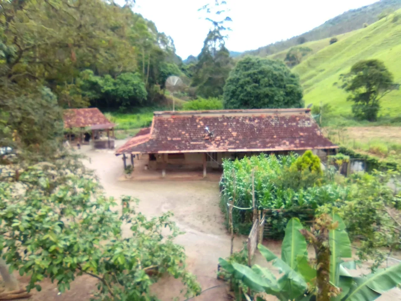 Foto do imóvel Excelente Propriedade Rural com 25 Hectares e Riqueza Hídrica