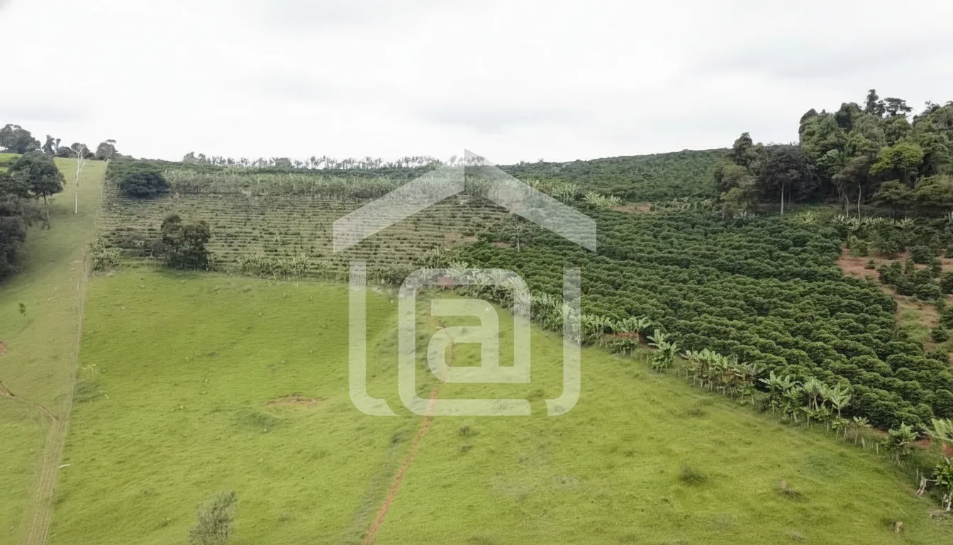 Imagem Sítio 5 m² à venda em Santana de Caldas, Caldas