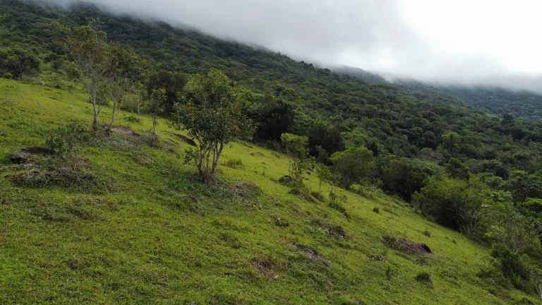 Imagem Terreno à Venda com Vista para o Mar e Lagoa do Macacu - 9,3 Hectares em Garopaba-SC!