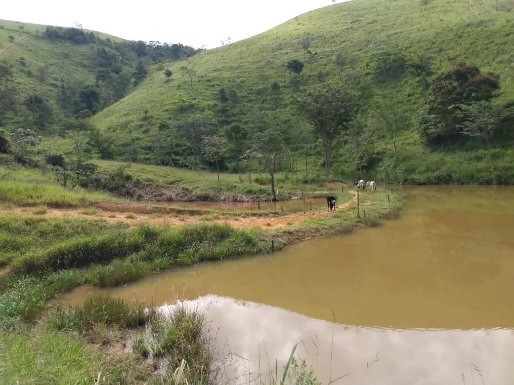 Imagem Chácara à venda 2 Quartos, 135000M², Zona Rural, Piquete - SP